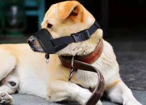 WagWise Nylon Muzzle For Aggressive Dogs
