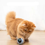 WagWise Smart Interactive LED Cat Toy